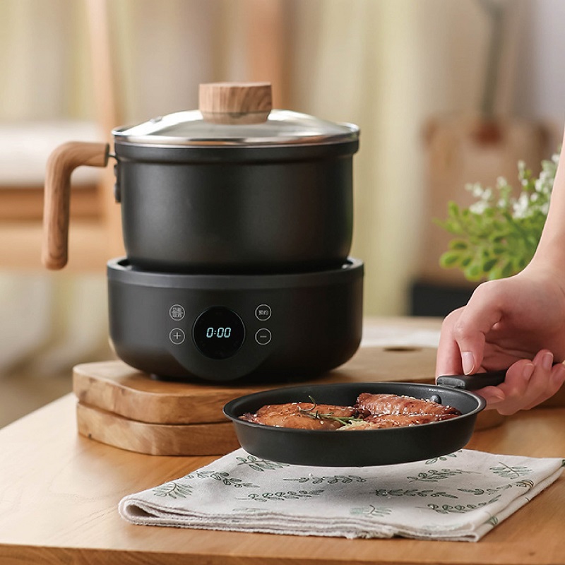 Camping Cooking Rice - 110V/220V Multifunctionele Elektrische Kookpot Anti-aanbakpan Studenten