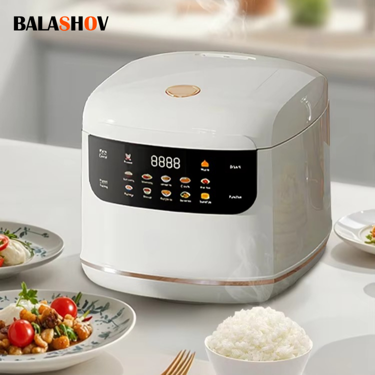 Camping Cooking Rice - MultiCooker Elektrische Rijstkoker 110V 220V Non-stick