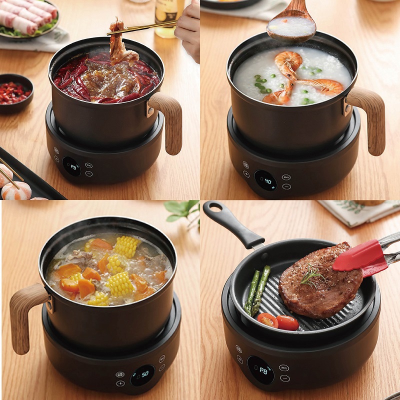 110V/220V Multifunctionele Ele - Camping Cooking Rice recensie en prijs