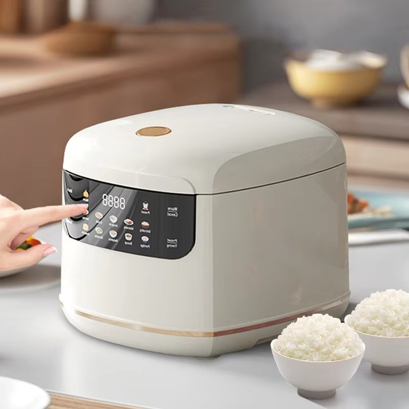 MultiCooker Elektrische Rijstk - Camping Cooking Rice recensie en prijs
