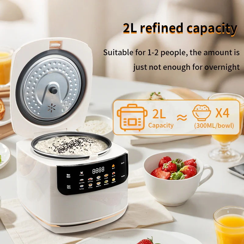 MultiCooker Elektrische Rijstk - Camping Cooking Rice recensie en prijs