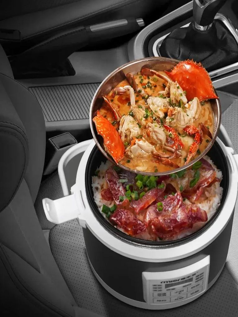 ARIER 12-24V 220V Rijstkoker M - Camping Cooking Cup recensie en prijs